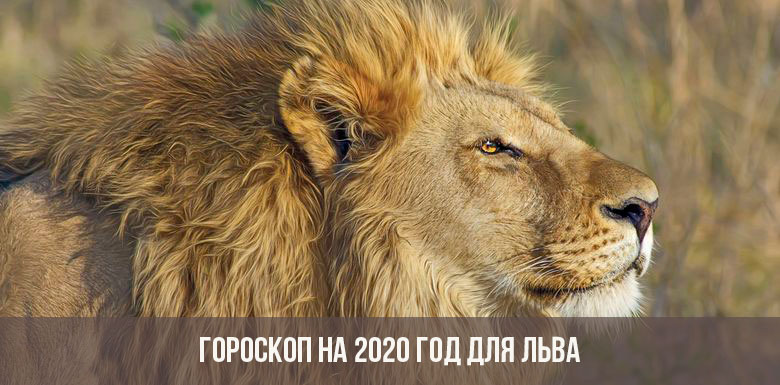 Картинки по запросу "Гороскоп на 2020 год Лев""